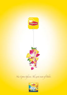 立顿饕餮茶宴 新中式茶文化广告创意策划